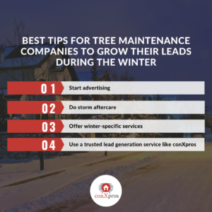 Tree Maintenance tips for companies to grow their leads during the winter